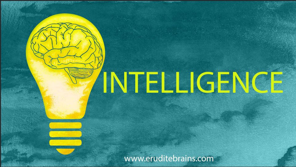 intelligence-www-eruditebrains