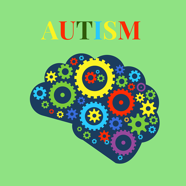 Should Autism Be Considered As Illness In Education?